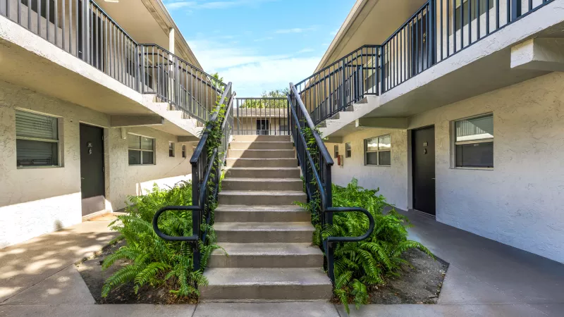 Photograph: Concrete stairs with black railings rise between two apartment buildings. Green ferns line the base under a blue sky.