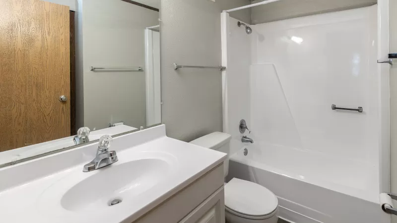 Bathroom with white vanity, sink, mirror, toilet, and bathtub with shower. Gray walls and wood-look flooring.