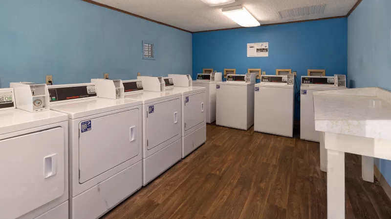 Laundry room with rows of white washing machines and dryers, blue walls, wooden floor, and folding table.