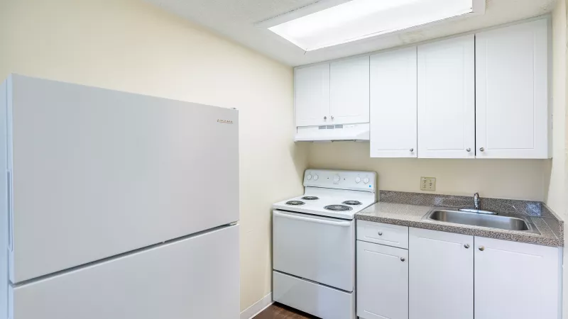 Compact kitchen with white appliances, light cabinets, dark speckled countertop, and wood-look flooring.
