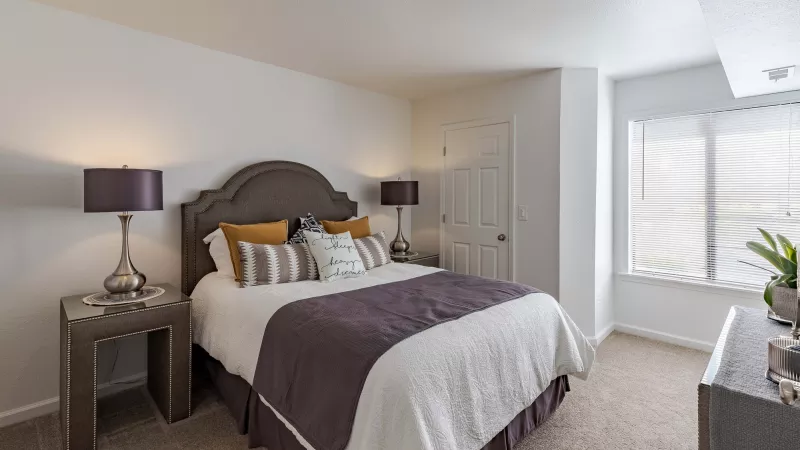 Bedroom with gray upholstered bed, white and deep purple bedding, silver lamps on nightstands, and a sunlit window.