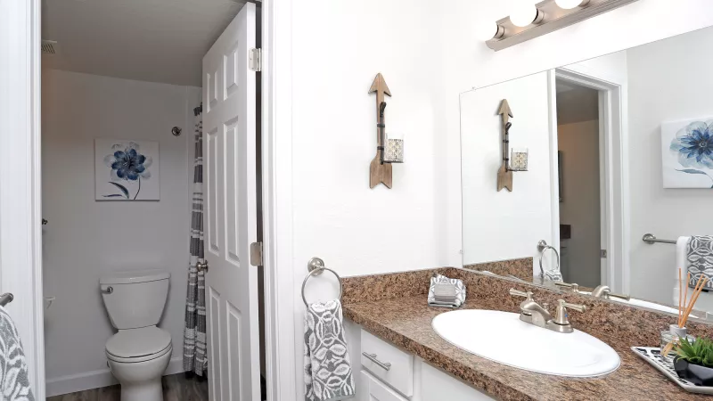 White bathroom features a brown speckled vanity, sink, mirror, and open door revealing a toilet with blue floral art.