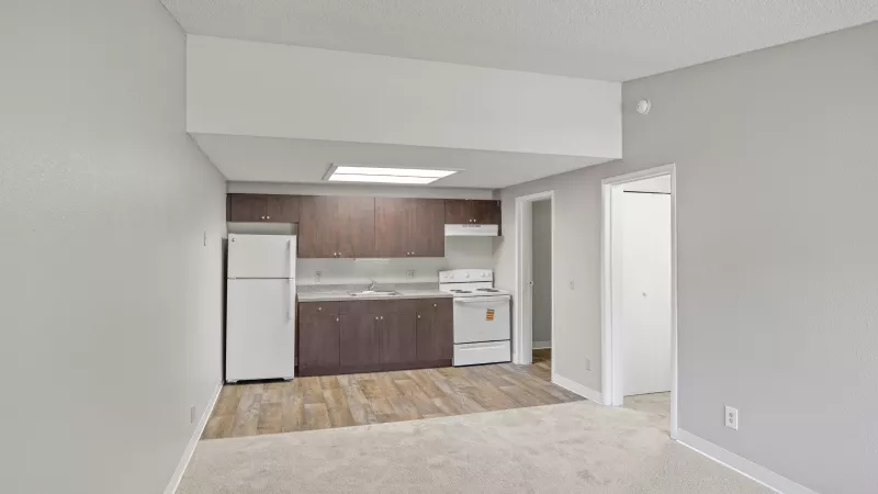 Unfurnished apartment. Light grey walls, carpeted living area, and kitchen with dark cabinets and white appliances.