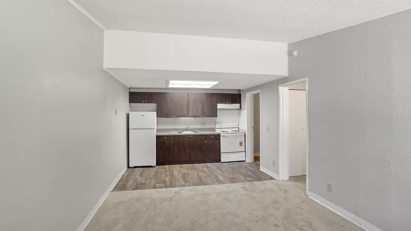 Apartment interior with a light gray living area, carpeted floor, and a kitchen featuring dark cabinets and white appliances.