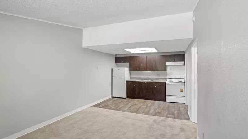 Studio apartment interior with light gray walls, carpeted living area, and compact kitchen with dark cabinets.