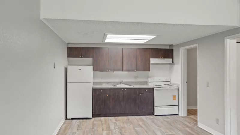 Bright kitchen with dark cabinetry, white appliances, light wood floor, and a skylight.