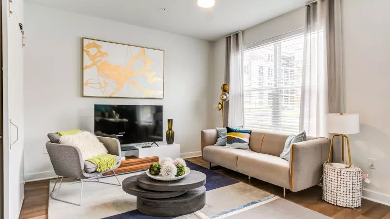 Bright, modern living room featuring a gray sofa, armchair, and coffee table. Gold abstract art hangs above a TV; a geometric rug.