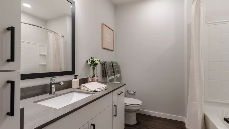 Modern bathroom with a white vanity, sink, large mirror, and toilet. Features dark wood floor, light walls, and a shower with a curtain.