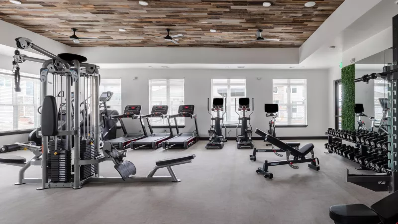 Spacious, well-lit gym with diverse workout equipment including weights, treadmills, and bikes. Wood ceiling.