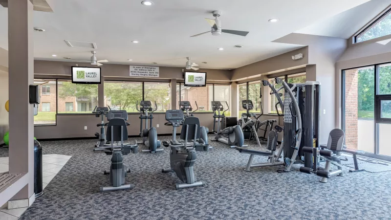 Well-lit fitness center with a range of cardio and weight machines, patterned carpet, and large windows overlooking the outside.