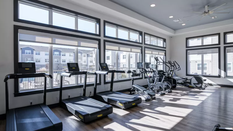Modern gym with large windows, treadmills, ellipticals, and strength equipment. Sunny with a view of buildings.