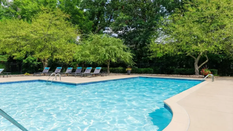 Sunny outdoor swimming pool with sparkling blue water, five gray lounge chairs, and lush green trees.