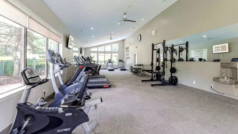 Spacious gym interior featuring treadmills, exercise bikes, ellipticals, large windows, and a mirrored wall.