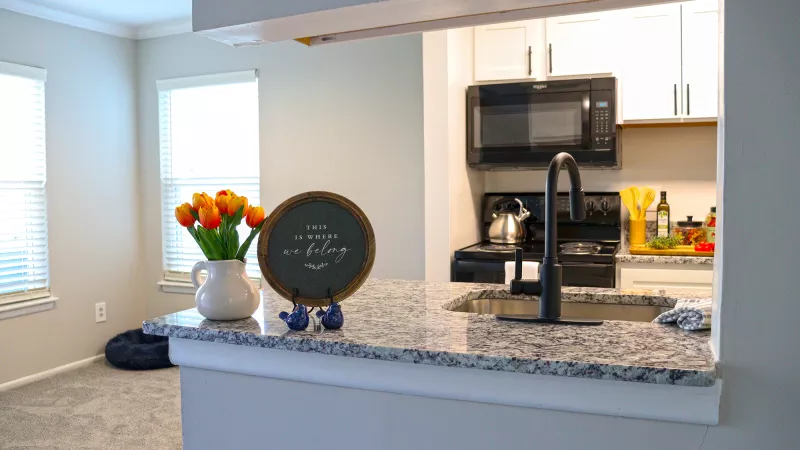 Modern kitchen featuring a granite counter, black faucet, and white cabinets. Orange tulips are on a table in the adjacent room.