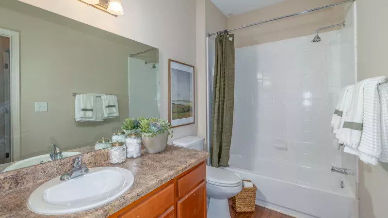 Photograph of a bright bathroom with a wood vanity, white sink, large mirror, toilet, and a shower-tub combo with an olive green curtain.