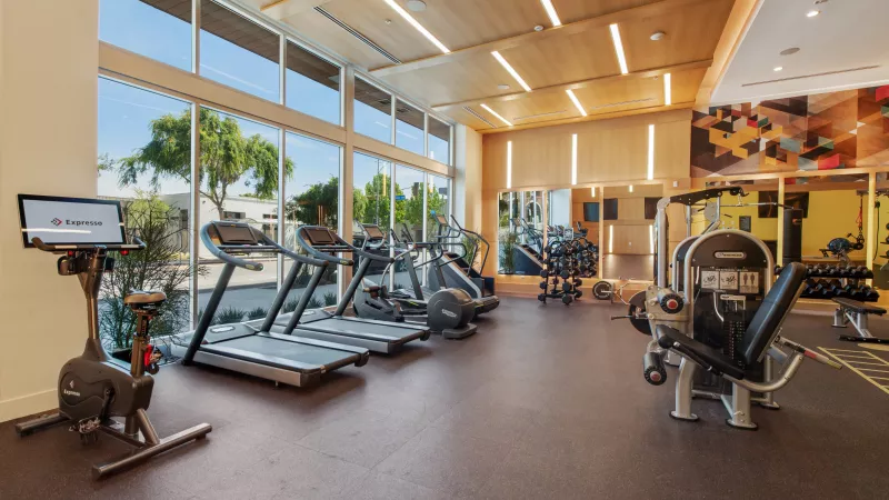 Spacious, modern gym with treadmills, weight machines, large windows, and a vibrant wall mural. Bright, natural light.