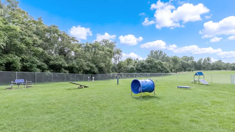 Green dog park with a blue agility tunnel, a ramp, and other equipment under a blue sky with white clouds.