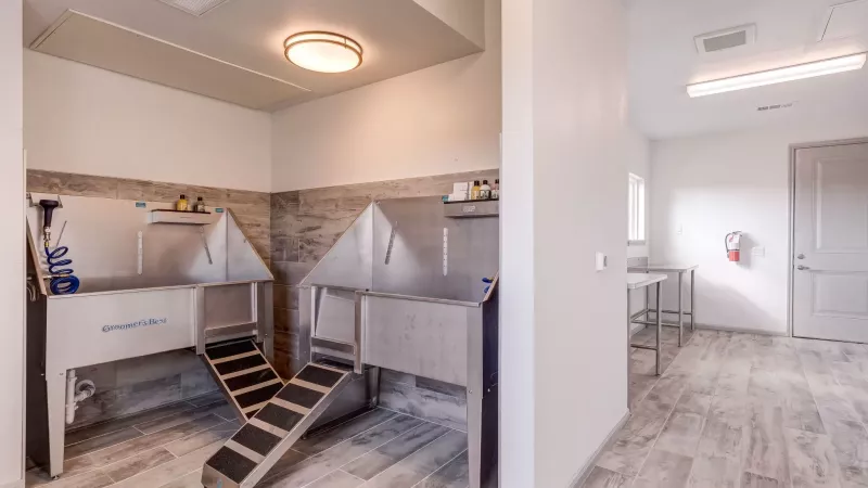 Bright pet wash area featuring two elevated stainless steel tubs with ramps. Tiled walls and wood-look floor.