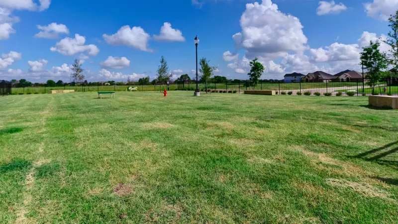 Vast green grassy field under a bright blue sky with scattered white clouds, bordered by trees and distant homes.
