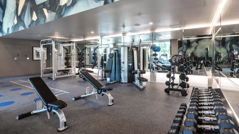 Photograph: Modern gym with strength training equipment, weight benches, and dumbbells. Mirrored walls and abstract mural.
