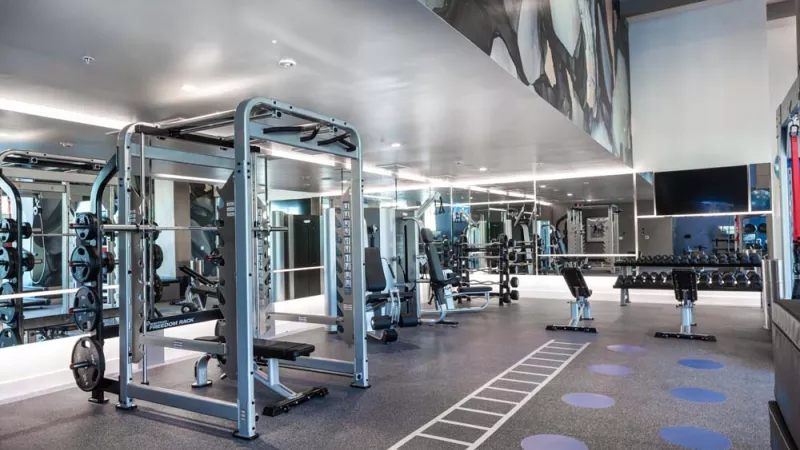 Modern gym with various workout machines, free weights, mirrored walls, and exercise floor markings under bright lighting.