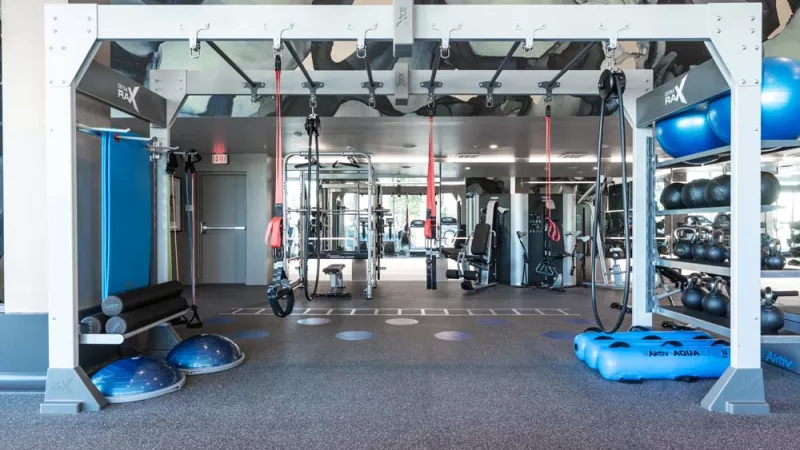 Modern gym with a large frame, blue Bosu balls, suspension trainers, and various exercise equipment.