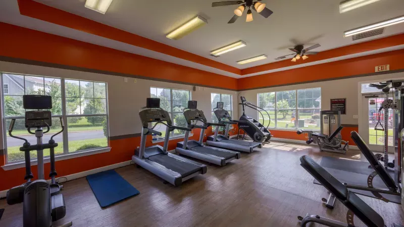 Fitness room with multiple treadmills, ellipticals, weight machines, and orange walls, lit by large windows.