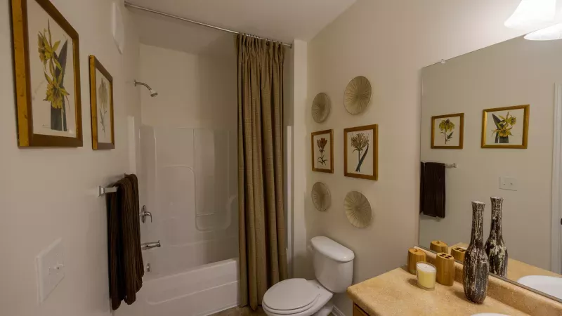 Clean, decorated bathroom with white tub, brown shower curtain, toilet, vanity, mirror, and framed botanical art on beige walls.