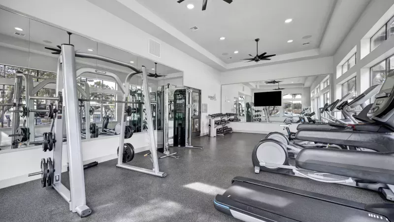 Bright, modern gym with treadmills, weight machines, and large mirrors reflecting trees outside.