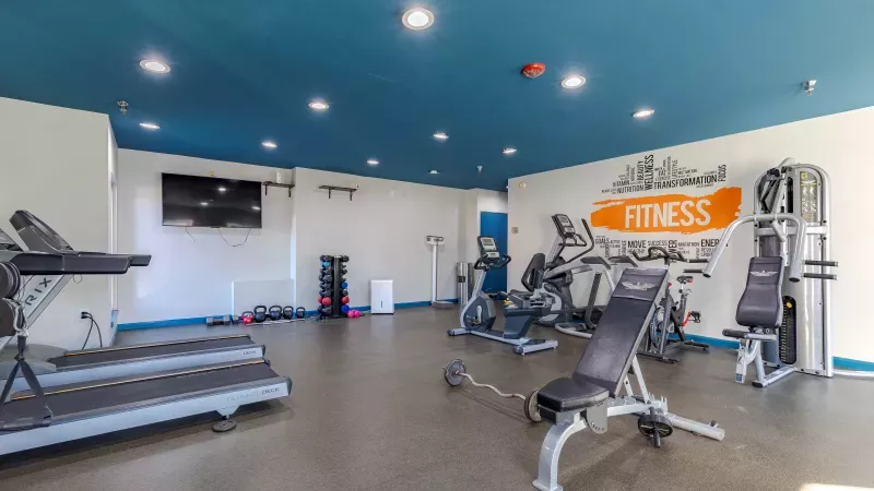 Modern gym with treadmills, a weight bench, dumbbells, and various fitness machines under a blue ceiling.