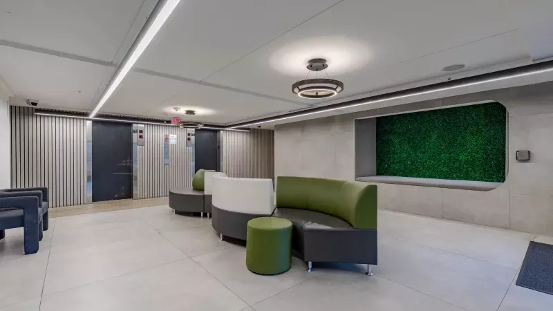 Modern lounge with olive green curved sofas, a green moss wall, and sleek gray decor.