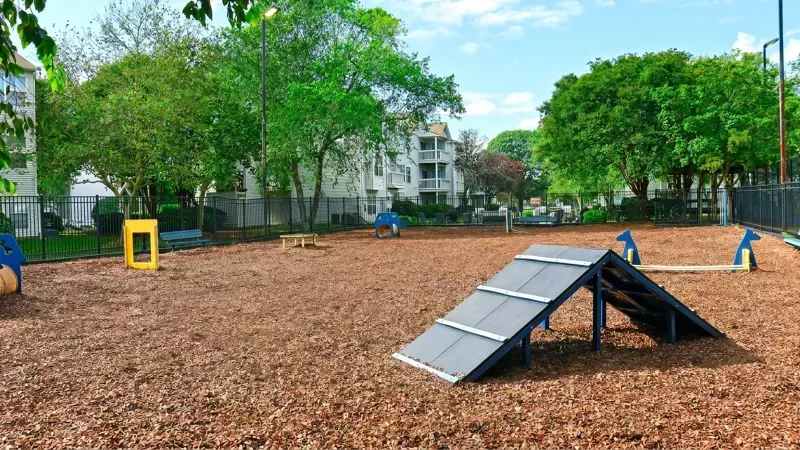 Outdoor dog agility park with wood chips, an A-frame ramp, yellow hoop, seesaw, and apartment buildings in background.