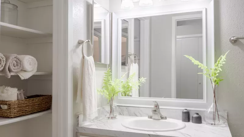 Bright bathroom vanity with white sink, mirror, green foliage, and adjacent open shelving with white towels.