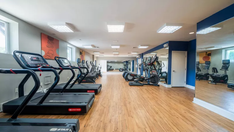 Photograph of a modern gym with rows of treadmills, ellipticals, and other exercise machines, wood floor, and mirrors.