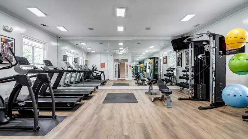 Modern gym with treadmills, a multi-gym, colorful exercise balls, and a large mirrored wall.