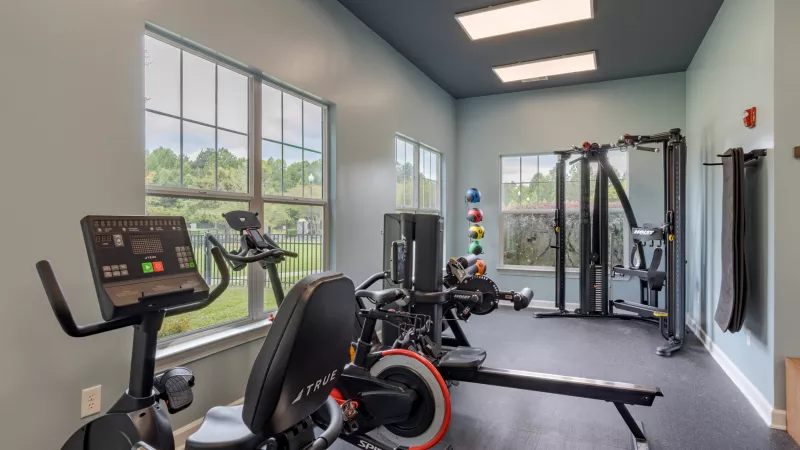 Photograph: Modern gym with cardio machines, a rower, weights, light blue walls, dark ceiling, and large windows.