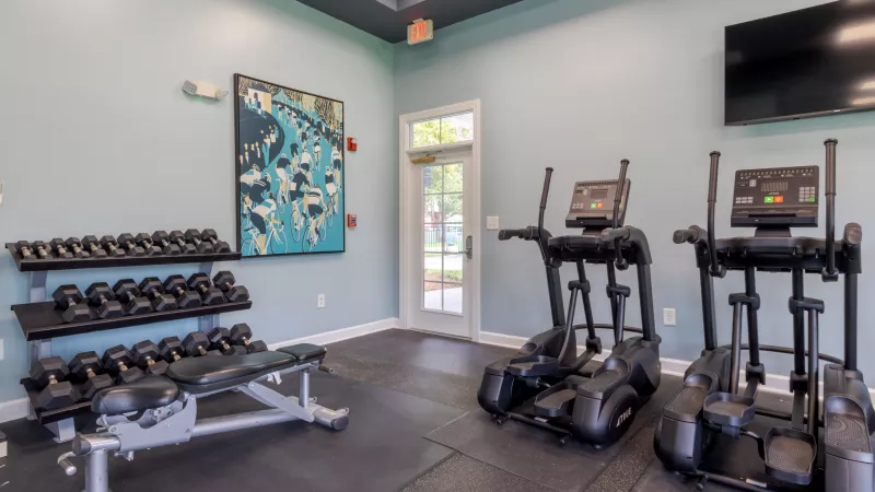 Gym with dumbbell rack, weight bench, and two elliptical machines on rubber flooring, light blue walls.
