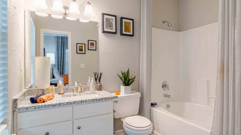 Bright, modern bathroom with a white vanity, granite counter, mirror, toilet, and bathtub. Potted plant on toilet.