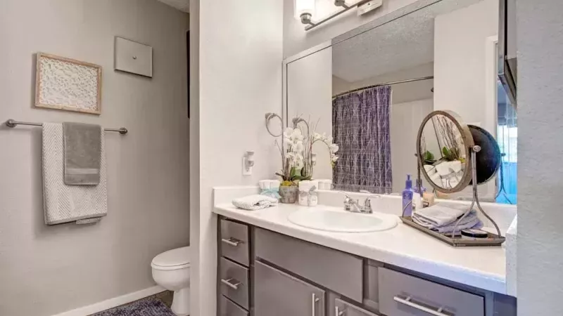 Contemporary bathroom with a sleek vanity, decorative accents, and modern lighting.
