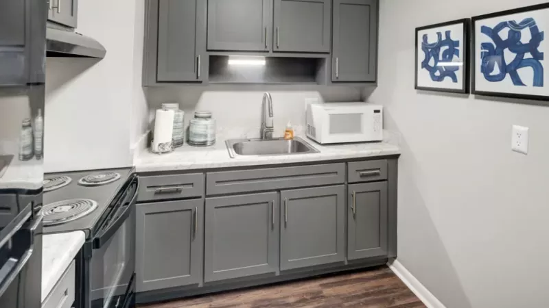 Modern kitchen with gray cabinets, a stainless steel sink, and hardwood floors.