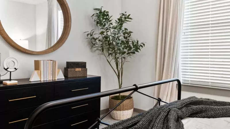 A sophisticated bedroom corner with a sleek dresser, round mirror, and a potted plant adding a touch of greenery.