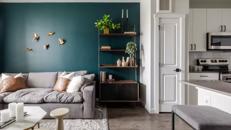 Modern living room with a grey sectional sofa, teal accent wall with decorative birds, and a plant-filled shelf.