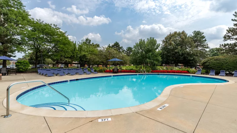 Outdoor swimming pool with blue water, lounge chairs, umbrellas, and red flowers under a clear sky.