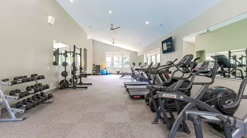 Spacious, well-lit modern gym with cardio machines, dumbbell racks, and weight plates.