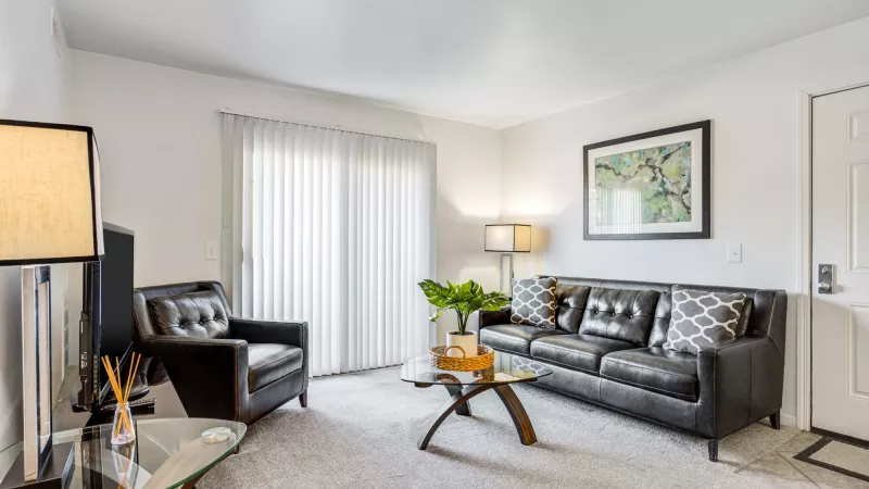Modern living room with dark leather sofa, armchair, glass coffee table, and a sliding glass door. White walls, grey carpet.
