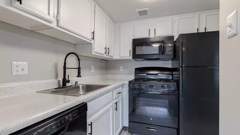 Modern kitchen with white cabinets, light gray countertops, stainless sink, and black appliances: dishwasher, stove, microwave, refrigerator.