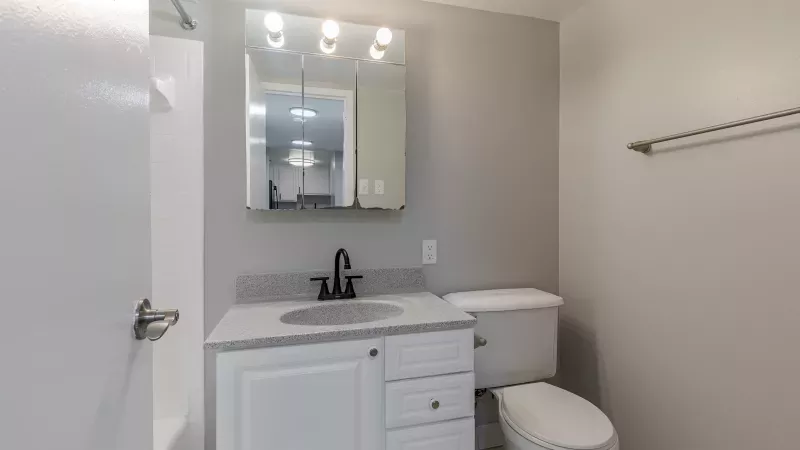 Bathroom with a white vanity, sink, mirror, toilet, shower, and light gray walls.