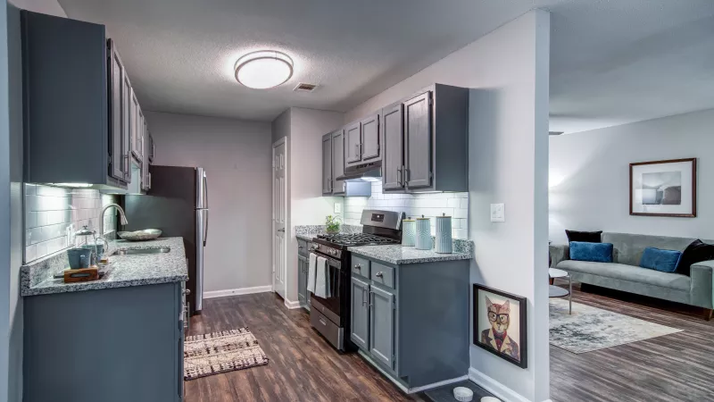 Modern kitchen with grey cabinets, dark wood floors, and stainless steel appliances, opening to a living area.