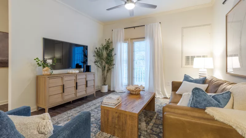 Photograph of a bright living room with a large TV, tan leather sofa, blue armchair, wooden coffee table, patterned rug, and plant.