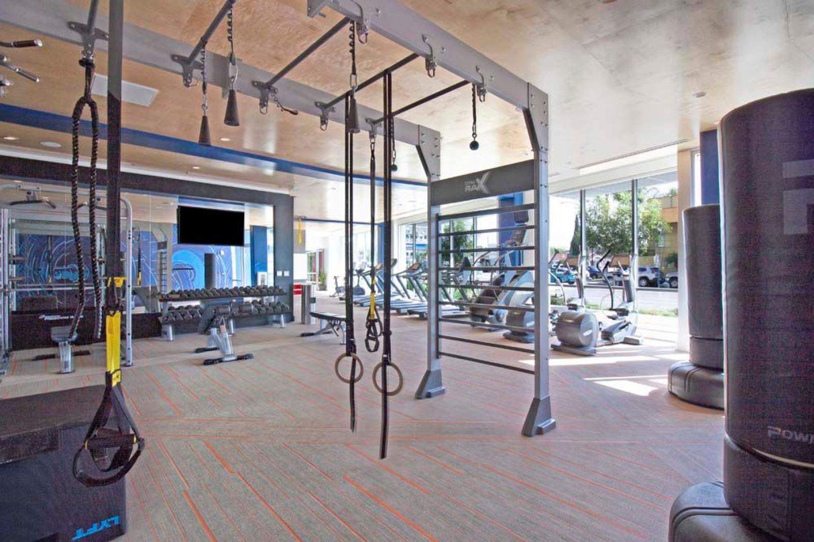 Functional training area with suspension ropes, pull-up bars, and free weights in a spacious gym.